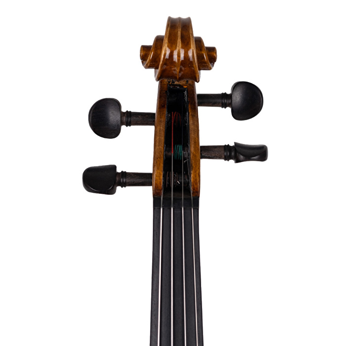 ANTON BRUCKNER MAESTRO VII Keman (Thomastik Telli - Yay ve Taşıma Çantası Dahil)